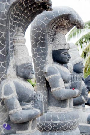 20091217 DSC 8802 CMP WM 11.jpg