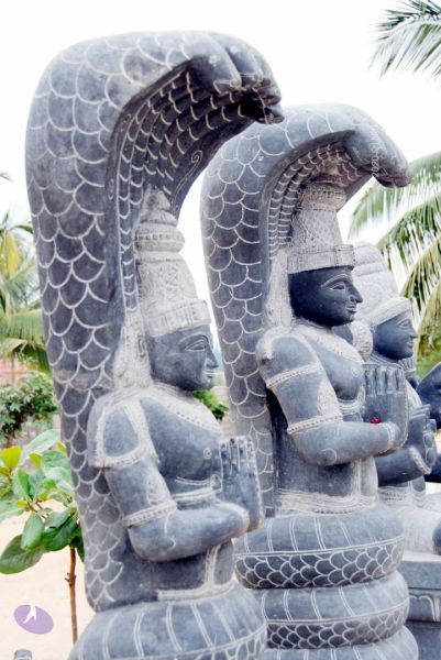 File:20091217 DSC 8803 CMP WM 11.jpg