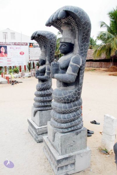 File:20091217 DSC 8804 CMP WM 11.jpg