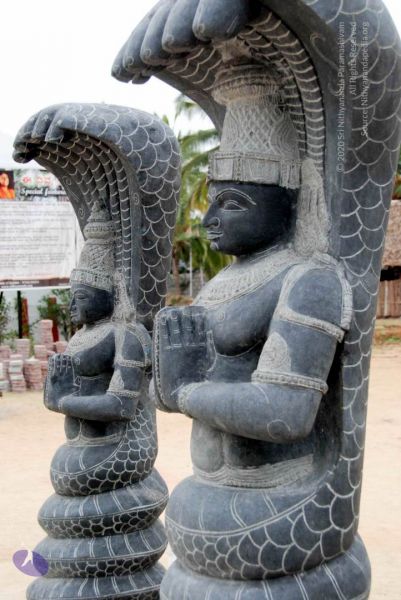 File:20091217 DSC 8805 CMP WM 11.jpg