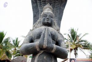 20091217 DSC 8806 CMP WM 11.jpg