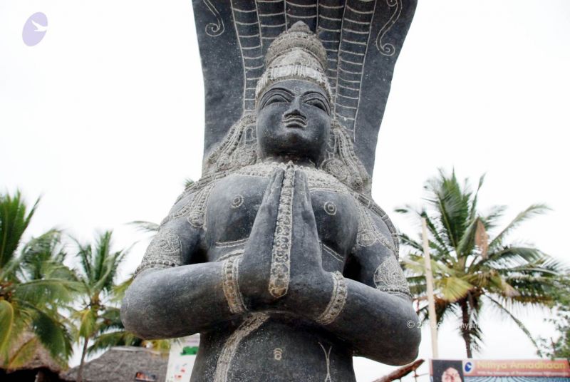 File:20091217 DSC 8806 CMP WM 11.jpg