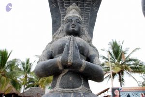 20091217 DSC 8807 CMP WM 11.jpg