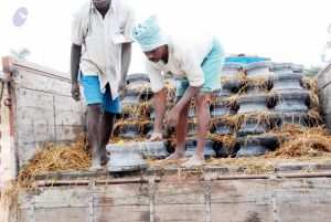 20091217 DSC 8986 CMP WM 00.jpg