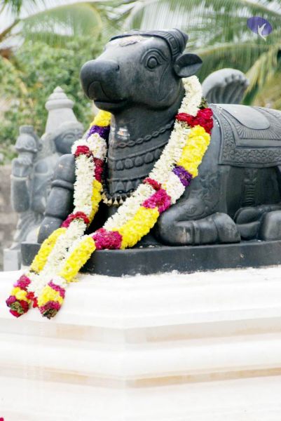 File:20091217 DSC 9099 CMP WM 11.jpg