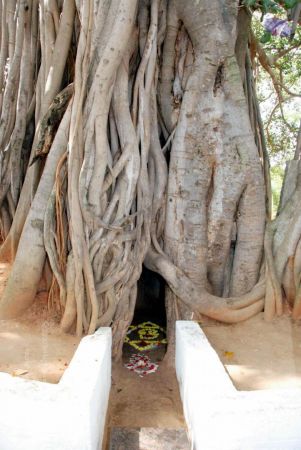 20091217 DSC 9192 CMP WM 11.jpg