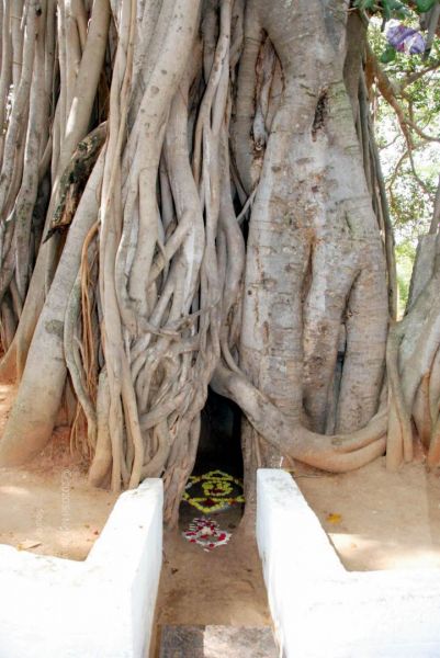 File:20091217 DSC 9192 CMP WM 11.jpg