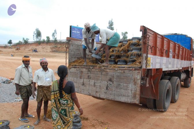 20091217 Photo 1009 1evxyY8qBE3jdmyVDk9QfIeobOlHM5 ef.JPG