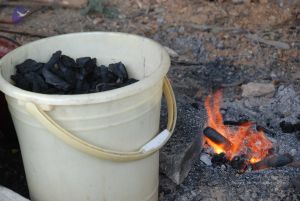 20091217 Photo 1014 1kgBeF6jM6WNumaJH5JpkJpg5jcn79HDZ.JPG