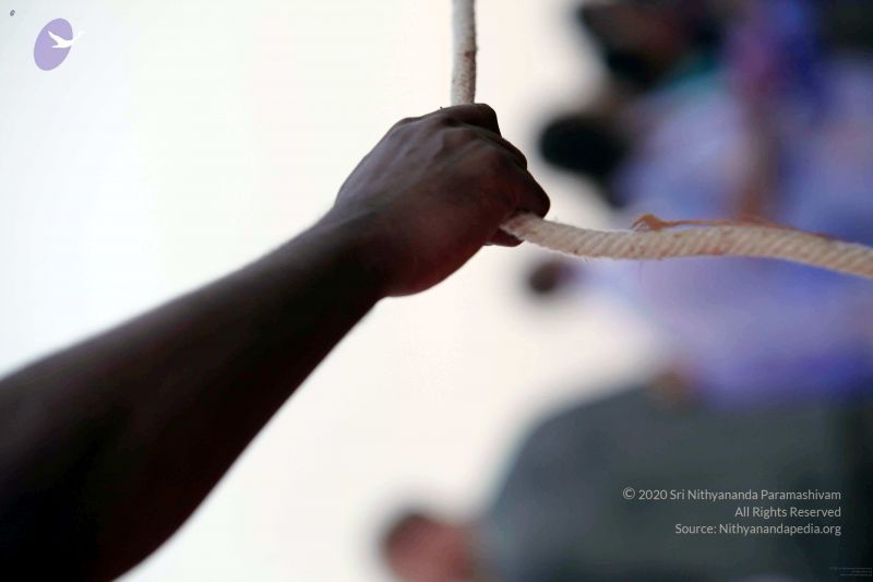 File:20091219IMG 3763 CMP WM001000 FIMT.jpg