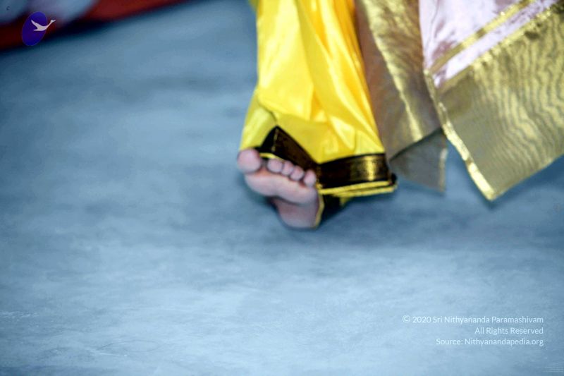 File:20091219IMG 3897 CMP WM001.jpg