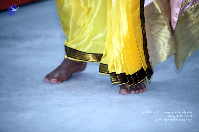 File:20091219IMG 3898 CMP WM001.jpg