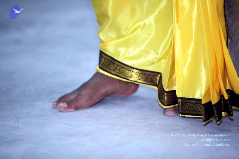 File:20091219IMG 3899 CMP WM001.jpg