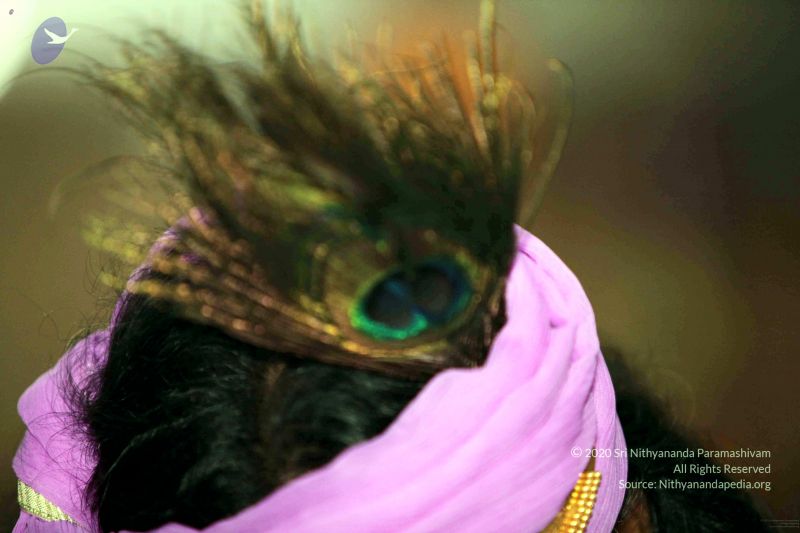 File:20091219IMG 3949 CMP WM001.jpg