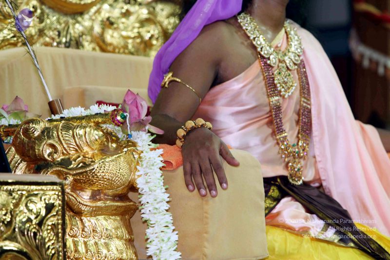 File:20091219IMG 3967 CMP WM001.jpg