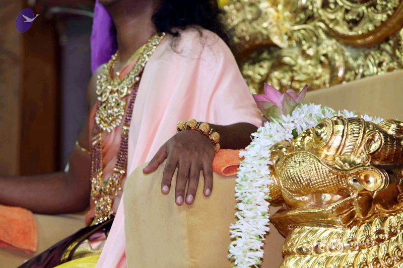 File:20091219IMG 3979 CMP WM001.jpg