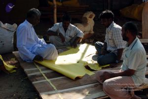 20091220DSC 0162 CMP WM001.jpg