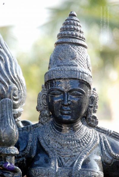 File:20091220DSC 0168 CMP WM001.jpg