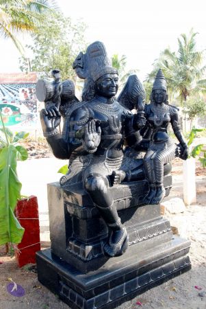 20091220DSC 0169 CMP WM001.jpg