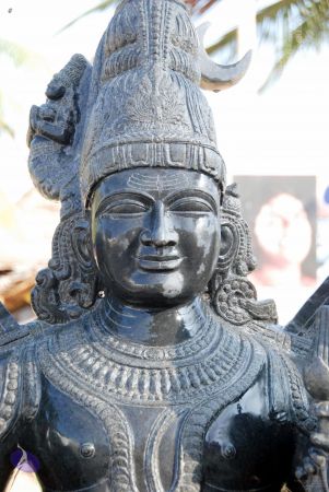 20091220DSC 0177 CMP WM001.jpg