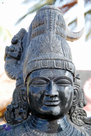 20091220DSC 0178 CMP WM001.jpg