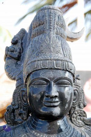 20091220DSC 0178 CMP WM001.jpg