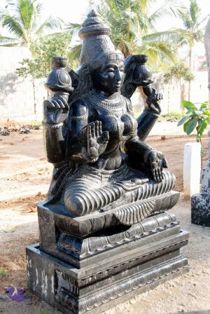 20091220DSC 0179 CMP WM001.jpg