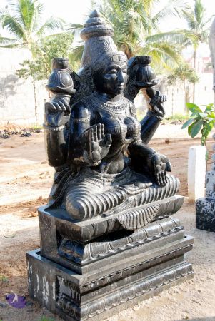 20091220DSC 0179 CMP WM001.jpg