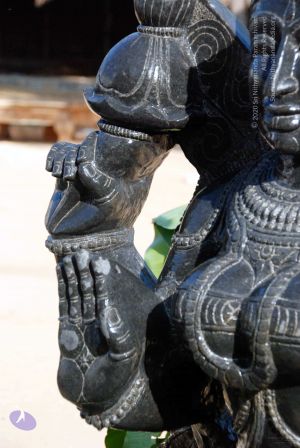 20091220DSC 0184 CMP WM001.jpg