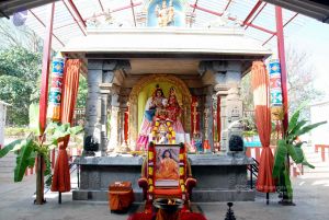 20091220DSC 0206 CMP WM001.jpg