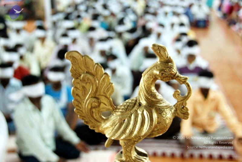 File:20091220DSC 0459 CMP WM001.jpg