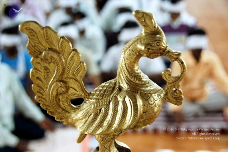 File:20091220DSC 0460 CMP WM001.jpg