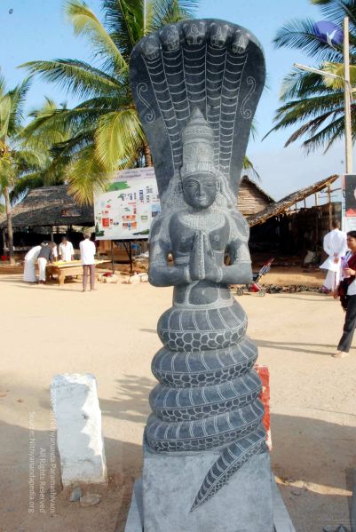 File:20091220DSC 9552 CMP WM001000 FIMT.jpg