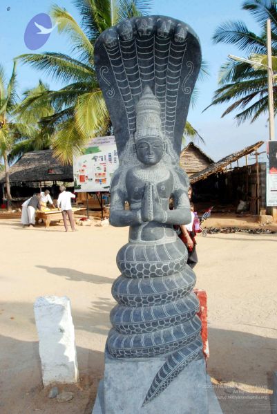 File:20091220DSC 9553 CMP WM001000 FIMT.jpg