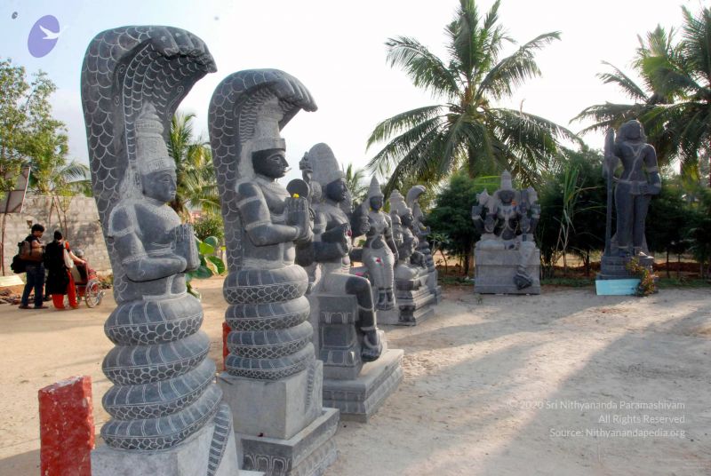 File:20091220DSC 9556 CMP WM001000 FIMT.jpg