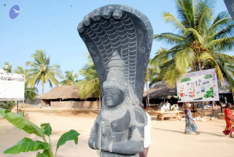 File:20091220DSC 9559 CMP WM001000 FIMT.jpg