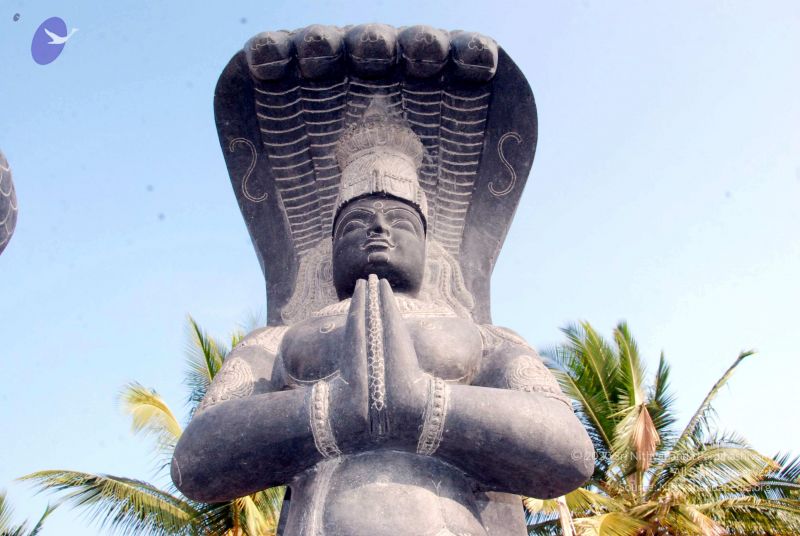 File:20091220DSC 9561 CMP WM001000 FIMT.jpg