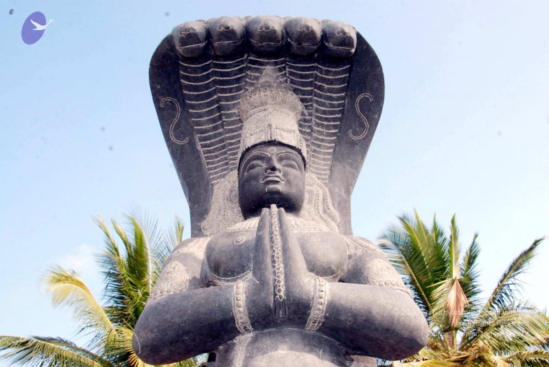 File:20091220DSC 9565 CMP WM001000 FIMT.jpg