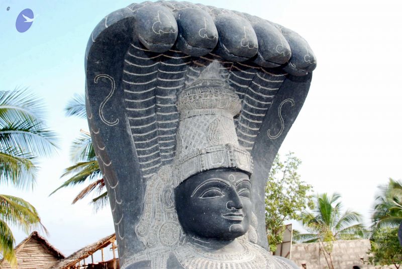 File:20091220DSC 9566 CMP WM001000 FIMT.jpg