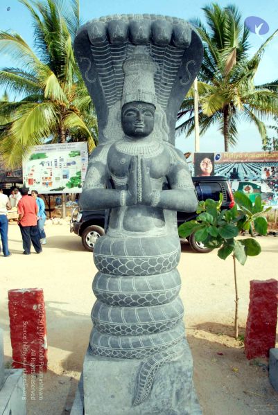 File:20091220DSC 9571 CMP WM001000 FIMT.jpg