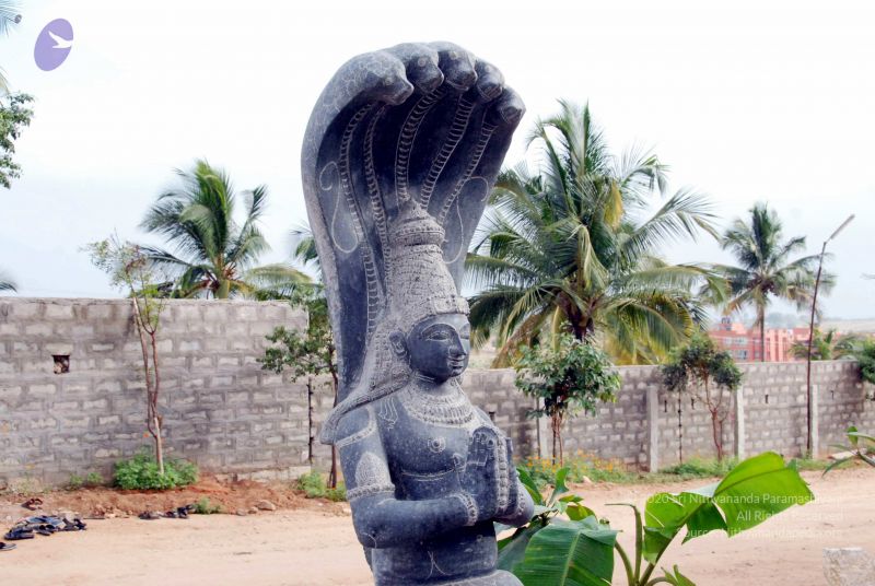 File:20091220DSC 9603 CMP WM001000 FIMT.jpg