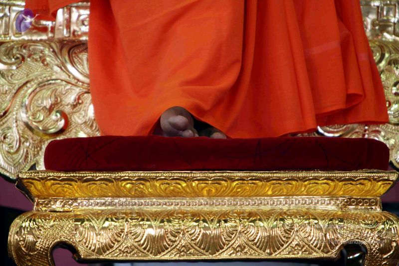 File:20091220IMG 4349 CMP WM001.jpg