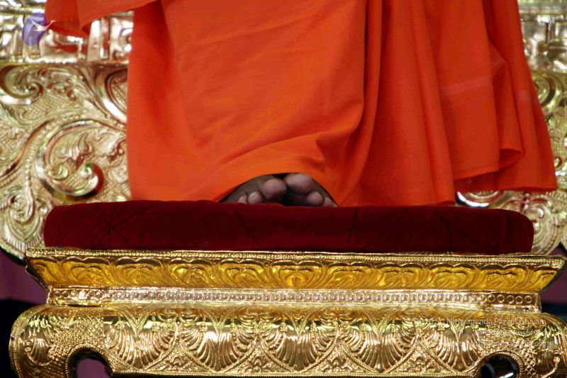 File:20091220IMG 4369 CMP WM001.jpg