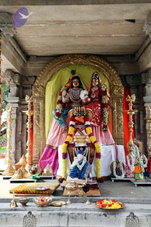 20091220IMG 4579 CMP WM001.jpg