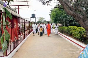 20091220IMG 4650 CMP WM001.jpg