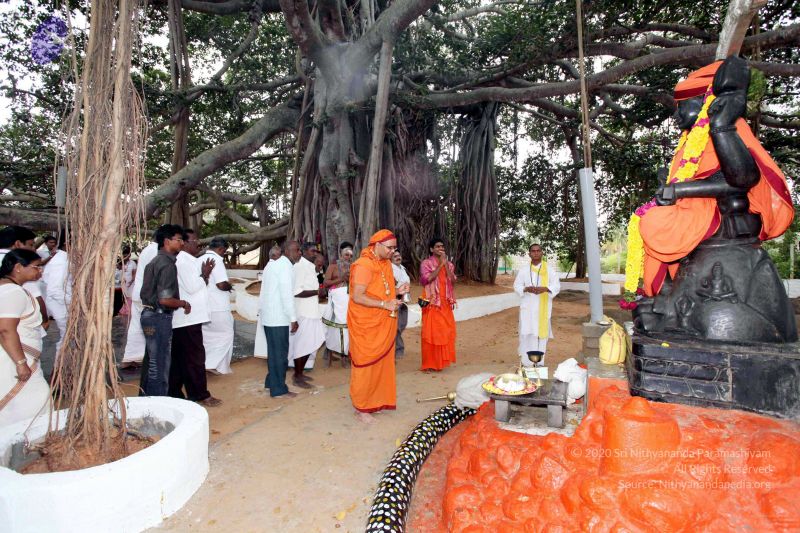 File:20091220IMG 4655 CMP WM001.jpg