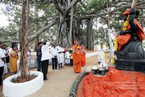 20091220IMG 4656 CMP WM001.jpg