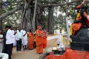 20091220IMG 4658 CMP WM001.jpg