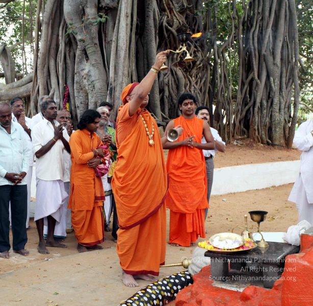 File:20091220IMG 4659 CMP WM001.jpg