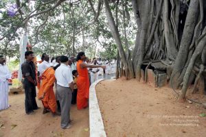 20091220IMG 4661 CMP WM001.jpg